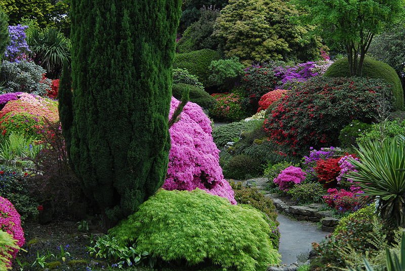 Фото Сады Леонардсли (Leonardslee Gardens). Великобритания, Западный Сассекс, Лоуэр Бидинг